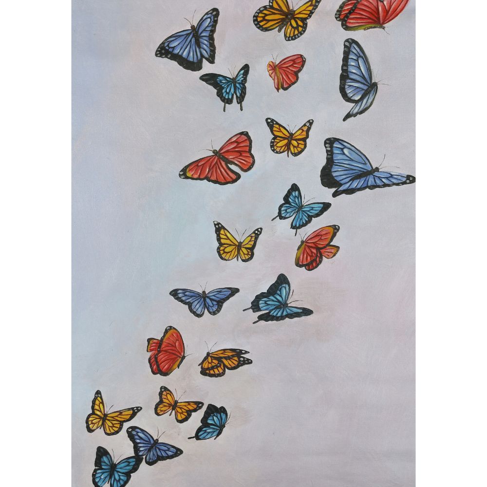 Colorful Butterflies